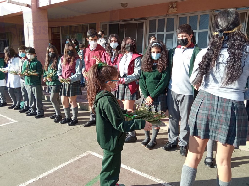 Domingo_de_ramos_009.jpg