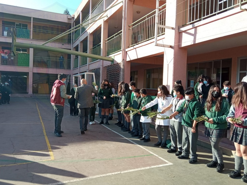 Domingo_de_ramos_012.jpg