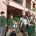 Domingo de ramos 013