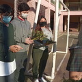 Domingo de ramos 016