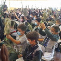 Domingo de ramos 029
