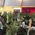 Domingo de ramos 044