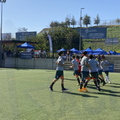 IMG 0920
