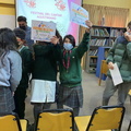 festilavoz 094