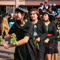 chilenidad 075