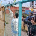 solidaria1mc23 001