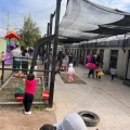 solidaria2ma23 096