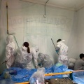 solidaria3mb23 031