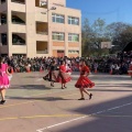 diachilen23 033