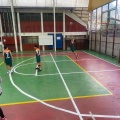 amisvolesupmai23 0012
