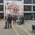 escuadroncanino2024 045
