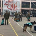 escuadroncanino2024 048