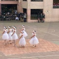diadeladanza2024 018