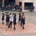 diadeladanza2024 025