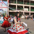 fiestaspatrias2024 233