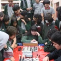 campeoajedrez2024 002