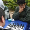 campeoajedrez2024 011