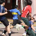 campeobaby2024 009
