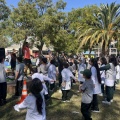 diaactifisica 2025 031